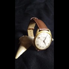 Elvia - 17j - incabloc Elvia - 17j - incabloc